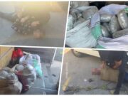 Hapšenje zbog 70 kilograma kanabisa na Zrenjaninskom putu, privedene dve osobe Hapšenje zbog 70 kilograma kanabisa na Zrenjaninskom putu, privedene dve osobe – hapšenje na Zrenjaninskom putu