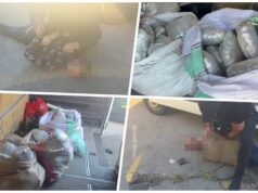 Hapšenje zbog 70 kilograma kanabisa na Zrenjaninskom putu, privedene dve osobe Hapšenje zbog 70 kilograma kanabisa na Zrenjaninskom putu, privedene dve osobe – hapšenje na Zrenjaninskom putu