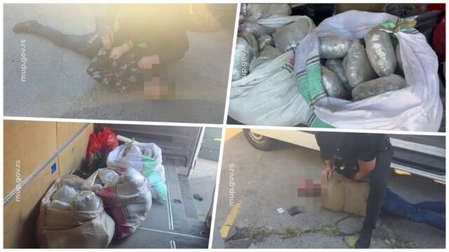 Hapšenje zbog 70 kilograma kanabisa na Zrenjaninskom putu, privedene dve osobe – hapšenje na Zrenjaninskom putu