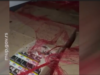 Velika zaplena cigareta na prelazu Preševo, vozač iz Pančeva uhapšen Velika zaplena cigareta na prelazu Preševo, vozač iz Pančeva uhapšen – zaplena cigareta na Preševu