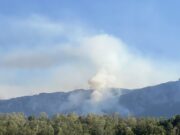 Veliki požar kod Leskovca: Gusti dim kulja u nebo, poznato šta gori Požar zahvatio nisko rastinje između Brestovca i Leskovca, gust dim vidljiv sa puta – požar kod Leskovca