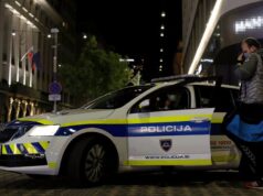 Uhapšena državljanka Srbije u Sloveniji po Interpolovoj poternici, čeka izručenje Uhapšena državljanka Srbije u Sloveniji po Interpolovoj poternici, čeka izručenje – oduzimanje deteta u Crnoj Gori