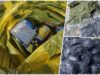 Policija pronašla arsenal za ulične borbe u Novom Sadu, uhapšen muškarac Policija pronašla arsenal za ulične borbe u Novom Sadu, uhapšen muškarac
